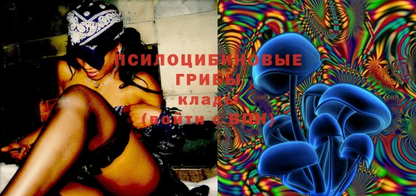 эйфоретик Вязники