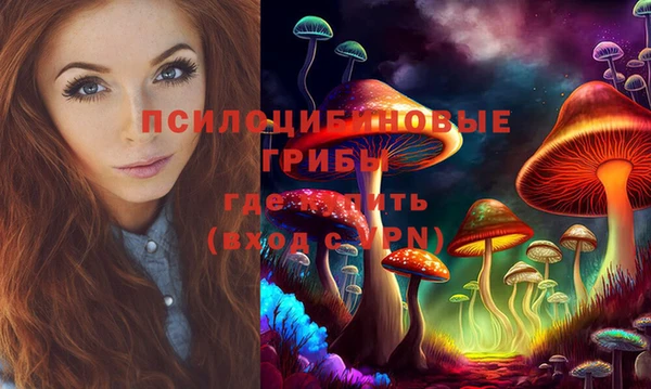 MDMA Premium VHQ Ельня