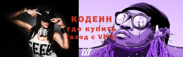 крисы Вяземский