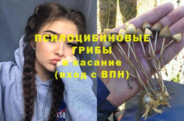 MDMA Premium VHQ Волоколамск