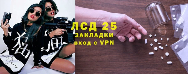 шишки Магас