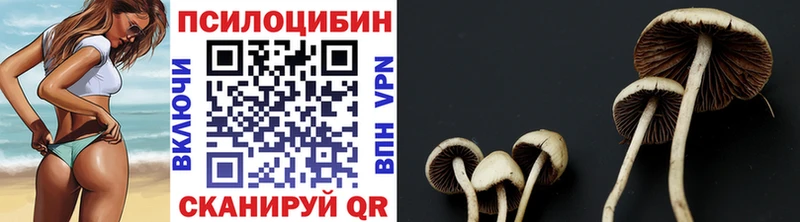 Псилоцибиновые грибы прущие грибы Губкин