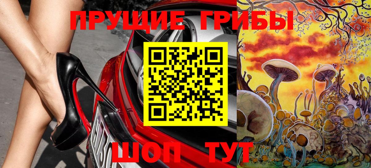 Бошки Шишки Губкин