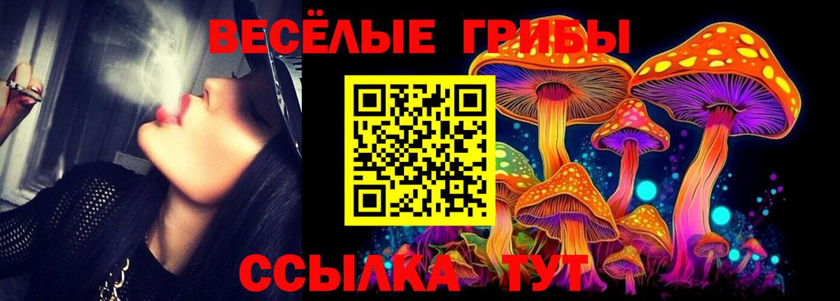 Галлюциногенные грибы Magic Shrooms  Псилоцибиновые грибы прущие грибы  Вход с VPN  Губкин 