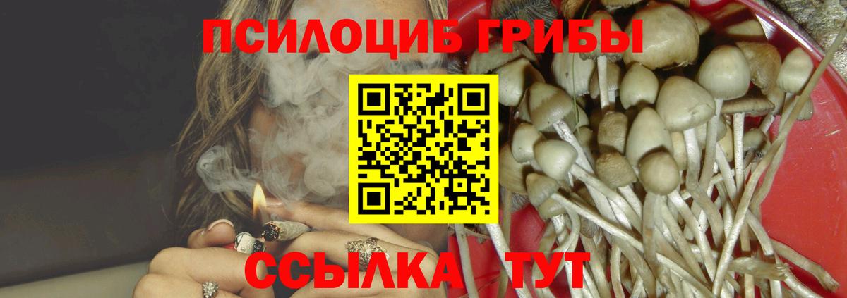 Каннабис Губкин